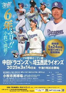 ドラゴンズオープン戦in小牧 プロ野球オープン戦「中日ドラゴンズVS埼玉西武ライオンズ」