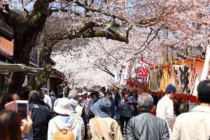 がいせん桜祭り2025