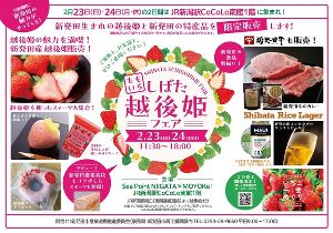 しばた越後姫フェア