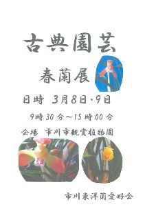 観賞植物園　古典園芸　春蘭展