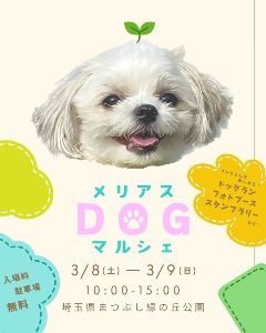 メリアスdogマルシェin埼玉県営まつぶし緑の丘公園