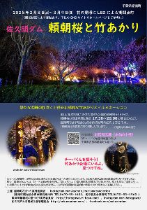 佐久間ダム　頼朝桜と竹あかり