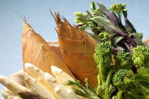 ほころぶ春の贅沢ディナー│旬を味わう、一夜限りの美食物語