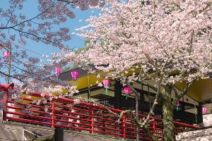 法多山さくらまつり