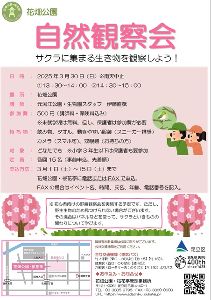 自然観察会