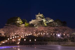 丸岡城桜まつり