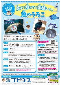 生きもの観察会「見て！触って！実験して！魚のうろこ」