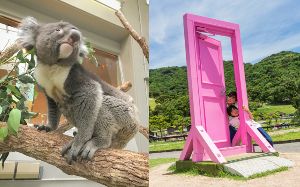 JAFデー幸せつなぐ春風かおる淡路島　淡路ファームパークイングランドの丘