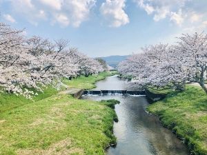 美肌・姫神の湯 玉造温泉桜まつり