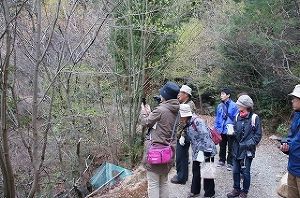広島市森林公園 自然観察会 ～植物編～