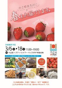フェスティバルプラザ　中之島直売所（3月）