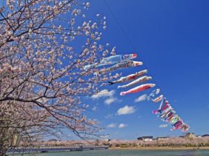 袋公園桜まつり