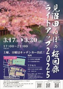 見沼田んぼの桜回廊ライトアップ2025