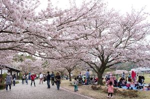 バンブーお花見デー