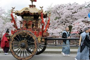 大聖寺　桜まつり