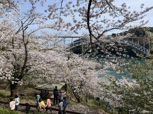 西海橋春のうず潮まつり