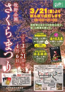 牧野公園さくらまつり2025