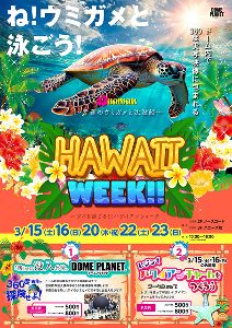 イオンモール水戸内原 ドームプラネット