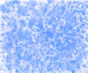 谷口順子 個展「宙をつむぐ」