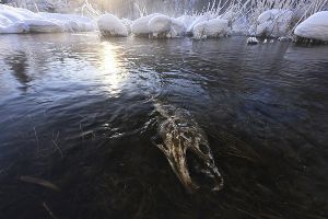 第13回SUフォト＆NIGHTフォト写真展「道新文化センター山本純一教室展」