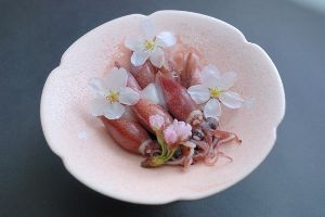 第27回浜坂みなとほたるいか祭り＆地えび