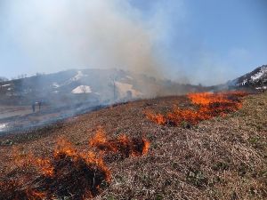 上山高原山開き・山焼き