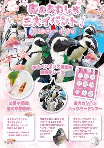 春のあわしま！ 春休みイベント！！