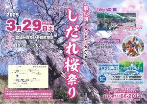 第13回宮城の里しだれ桜祭り