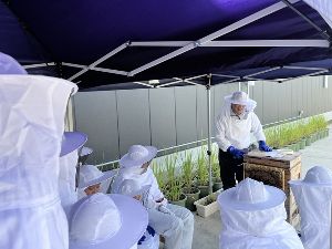 都市養蜂体験！大人も楽しめる自由研究チャレンジ