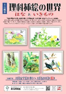 ミニ展示「理科挿絵の世界　はなといきもの」