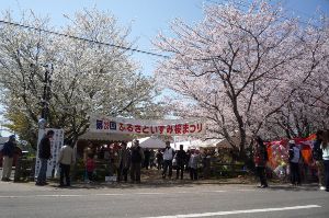 第36回いずみ桜まつり