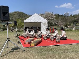 お琴の演奏～春の調べ～