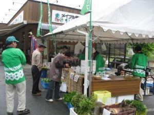葉わさびまつり