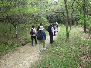 道草ウォーキング（4月）
