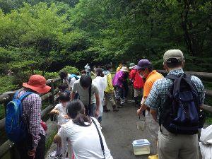 なるほど森歩き（4月）