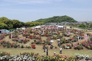 春バラ観賞会