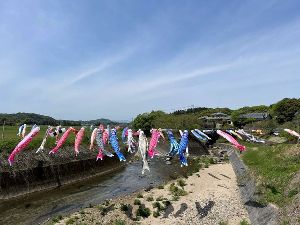 岩本橋 鯉のぼり