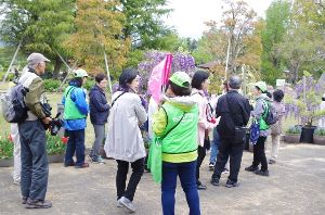 花のウォーキング（5月）