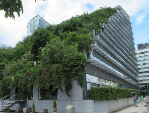 アクロス山の樹木ウォッチングツアー　ふくおか景観フェスタ～第19回福岡県景観大会