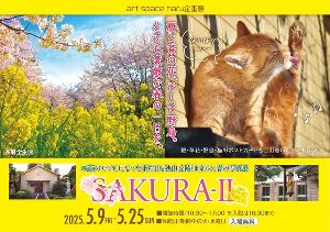 ハル6周年記念・企画展〜桜と菜の花、そして野鳥。とても素敵な春の一日を。SAKURA2