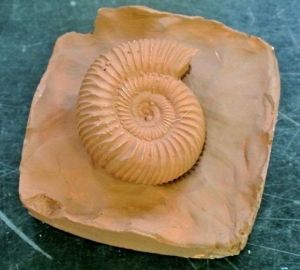 科学教室「化石の世界と３Ｄレプリカ作り」