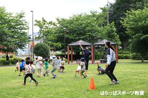 都立武蔵野公園「はらっぱスポーツ教室」（7月）