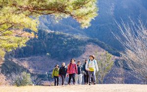 ささぐりの魅力、再発見！ ～あなたが知らないささぐりがここにある～