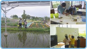 むかっち博士の自然観察会「みどりの杜の水生動物調べ」