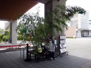 淡路島国営明石海峡公園 七夕飾り