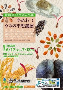 ゆめねつタネのふしぎ展