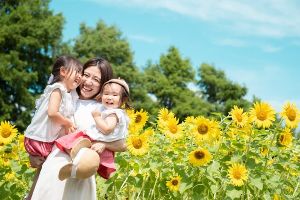 【花・見ごろ】滋賀農業公園ブルーメの丘 ひまわり