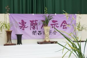 寒蘭展