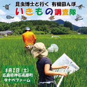 昆虫博士と行く 有機田んぼ いきもの調査隊