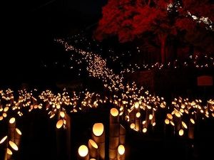 第26回たけた竹灯籠「竹楽(ちくらく)」